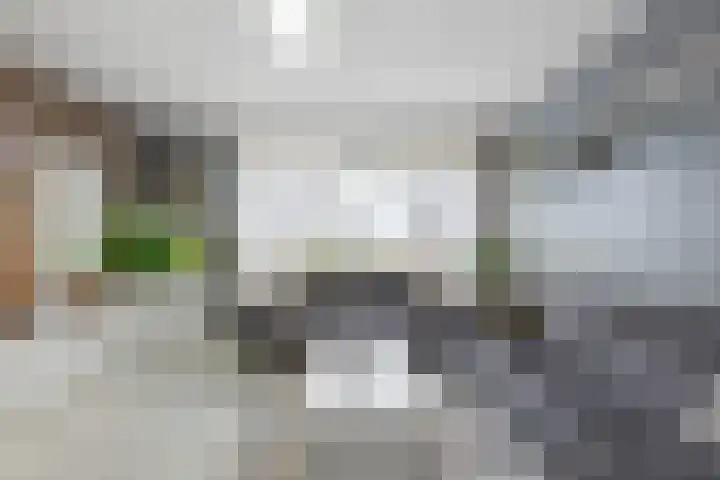 Schoutendreef 289 Den Haag thumbnail 12