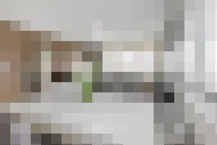 Schoutendreef 289 Den Haag thumbnail 17