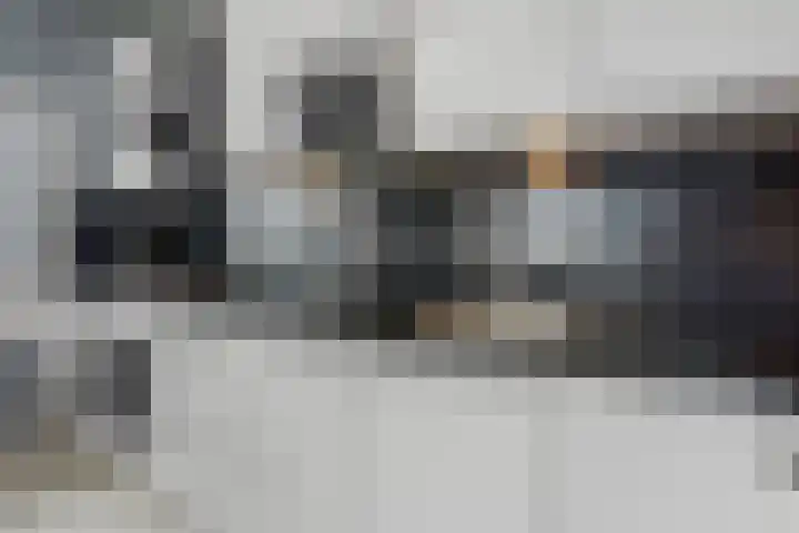 Schoutendreef 289 Den Haag thumbnail 18