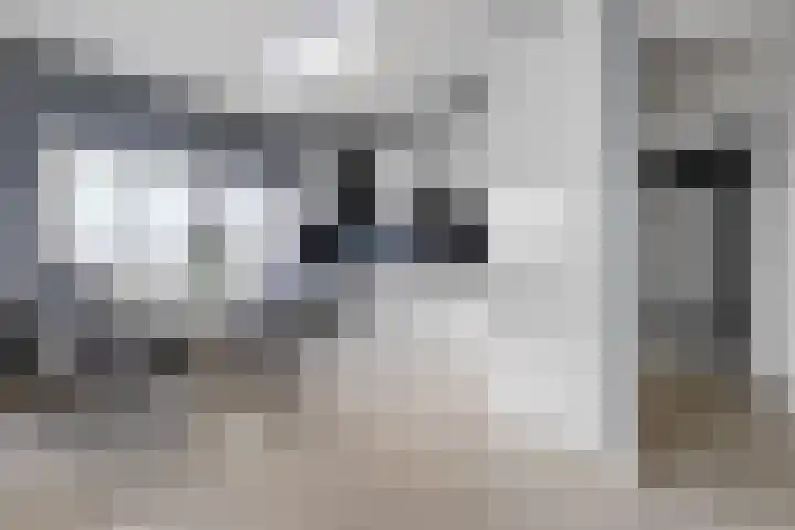 Schoutendreef 289 Den Haag thumbnail 19