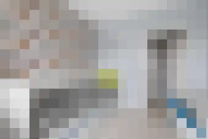 Schoutendreef 289 Den Haag thumbnail 22