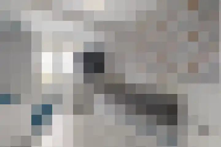Schoutendreef 289 Den Haag thumbnail 24