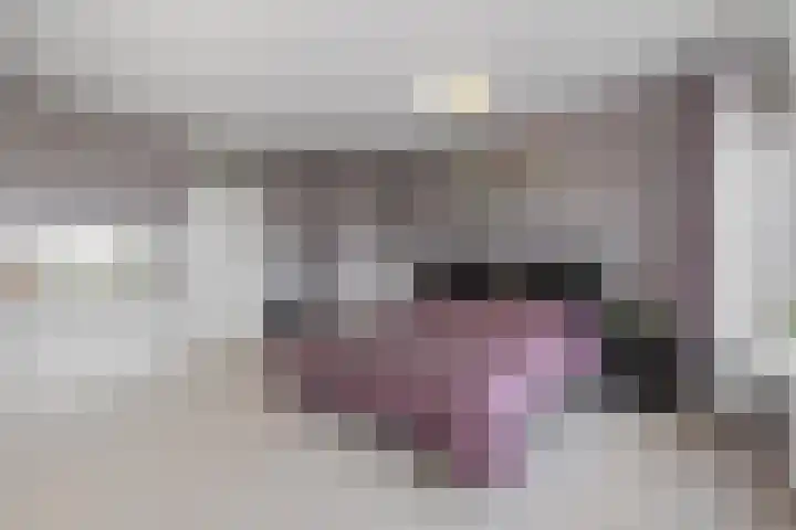 Schoutendreef 289 Den Haag thumbnail 28