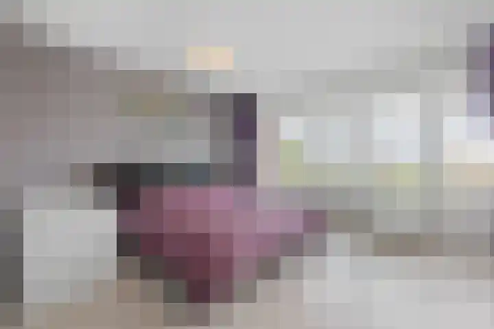 Schoutendreef 289 Den Haag thumbnail 31
