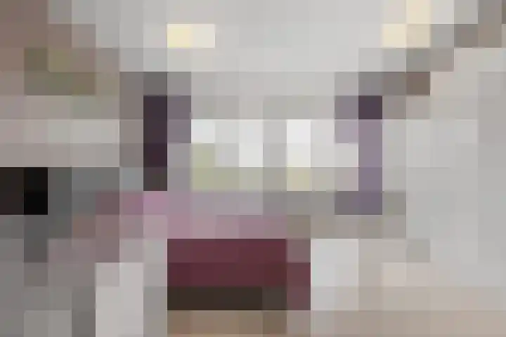 Schoutendreef 289 Den Haag thumbnail 33