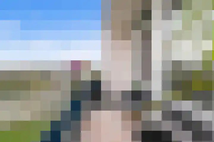Schoutendreef 289 Den Haag thumbnail 37