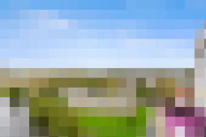 Schoutendreef 289 Den Haag thumbnail 4