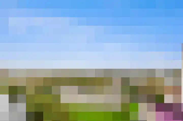 Schoutendreef 289 Den Haag thumbnail 43