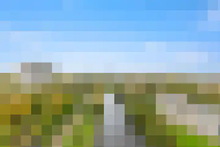 Schoutendreef 289 Den Haag thumbnail 44