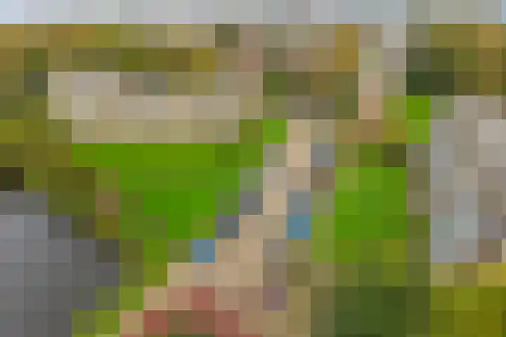 Schoutendreef 289 Den Haag thumbnail 48