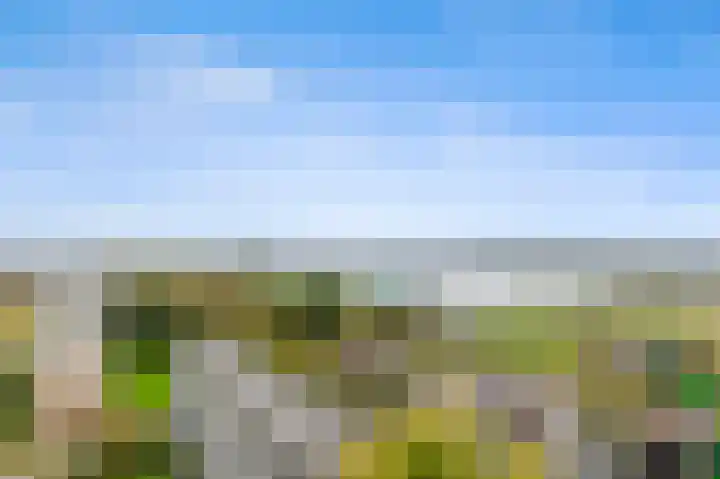Schoutendreef 289 Den Haag thumbnail 49