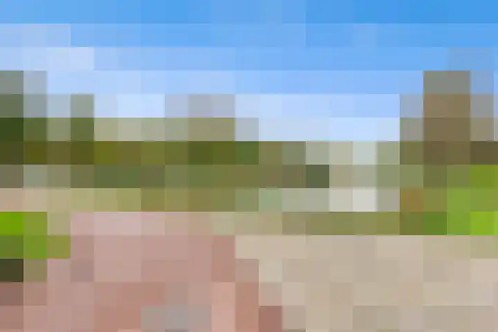 Schoutendreef 289 Den Haag thumbnail 51