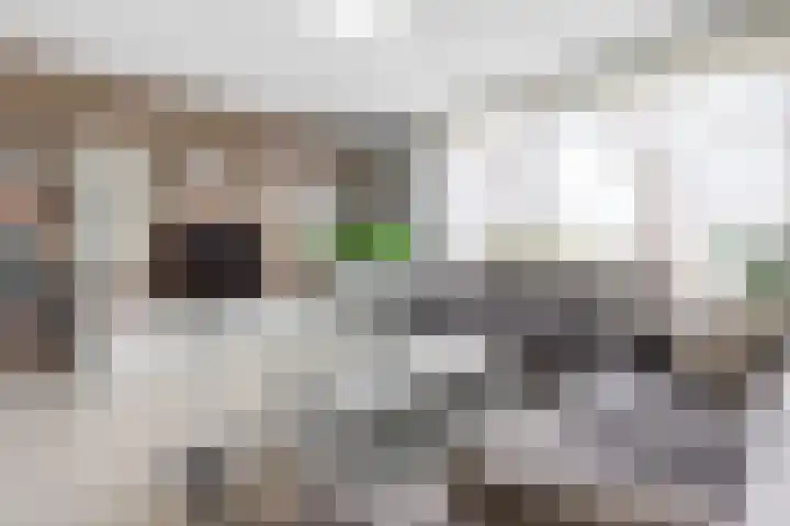 Schoutendreef 289 Den Haag thumbnail 9