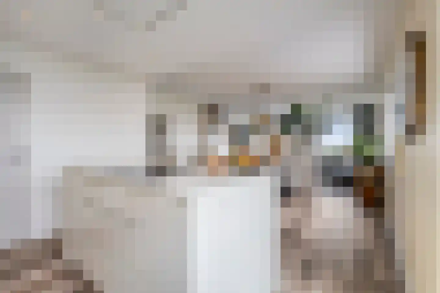 Schoutendreef 357 Den Haag thumbnail 12