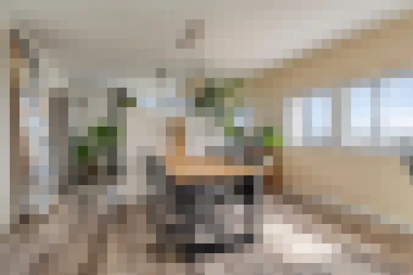Schoutendreef 357 Den Haag thumbnail 15