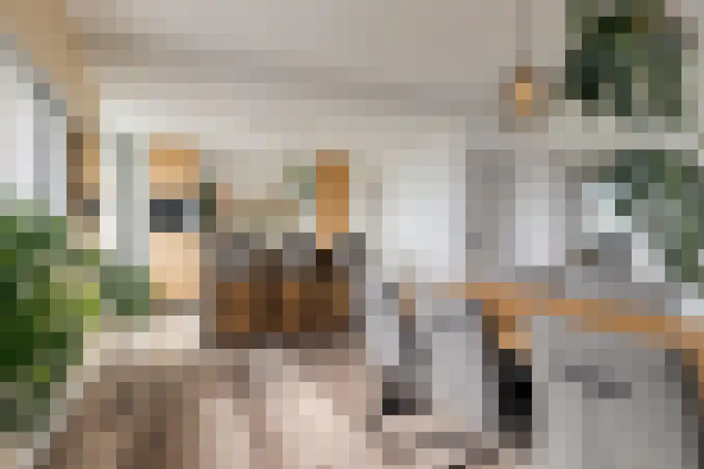 Schoutendreef 357 Den Haag thumbnail 16