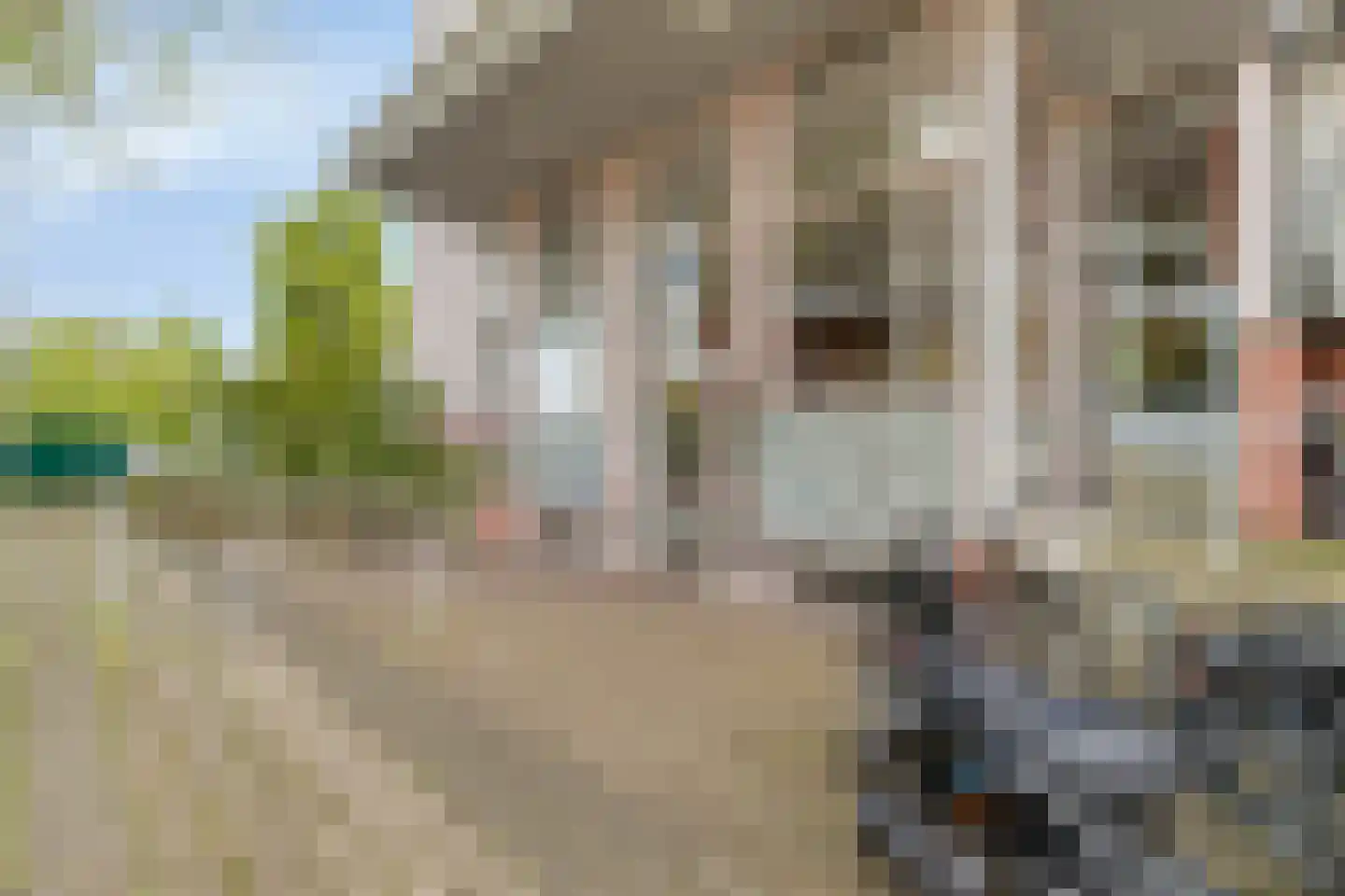 Schoutendreef 357 Den Haag thumbnail 4