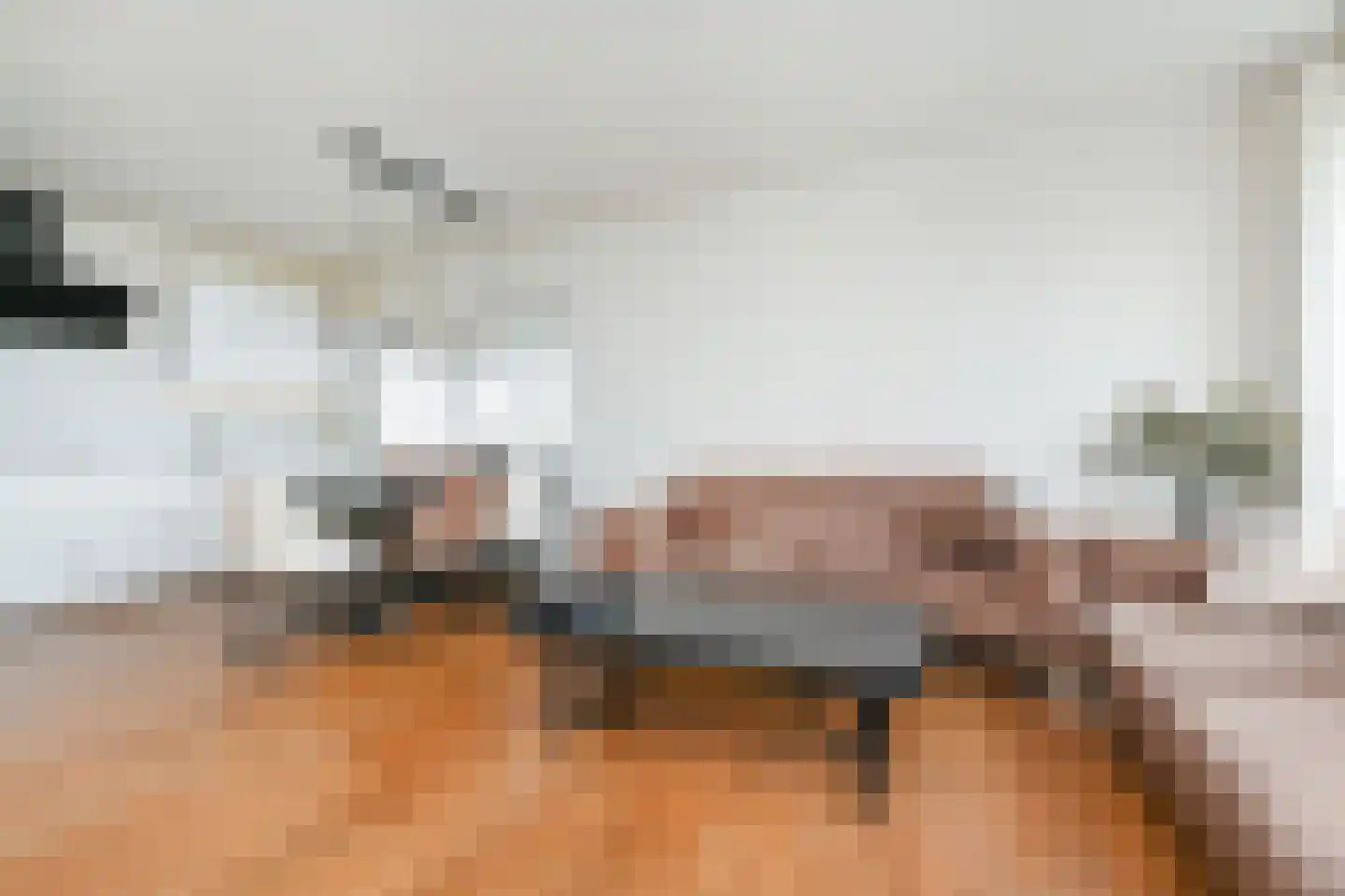 Schoutendreef 367 Den Haag thumbnail 13