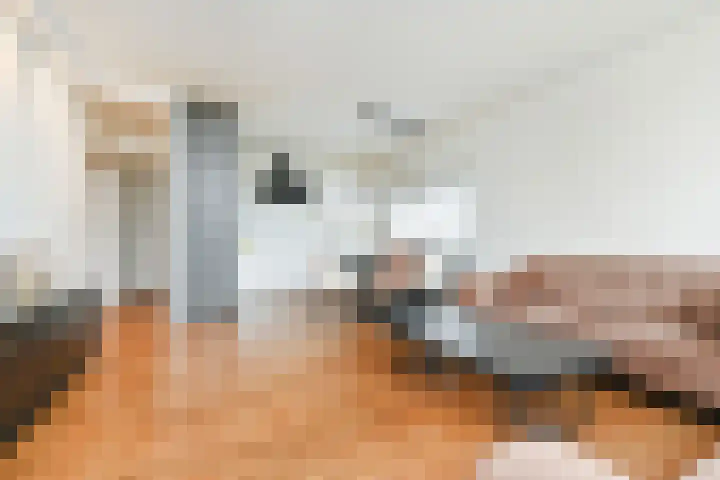 Schoutendreef 367 Den Haag thumbnail 14