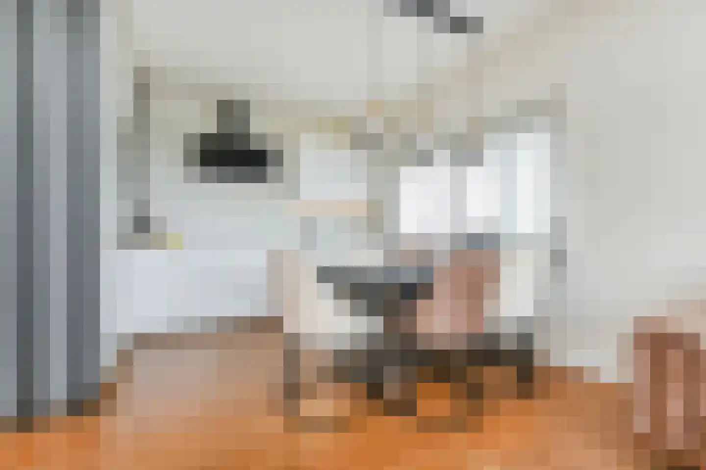 Schoutendreef 367 Den Haag thumbnail 16