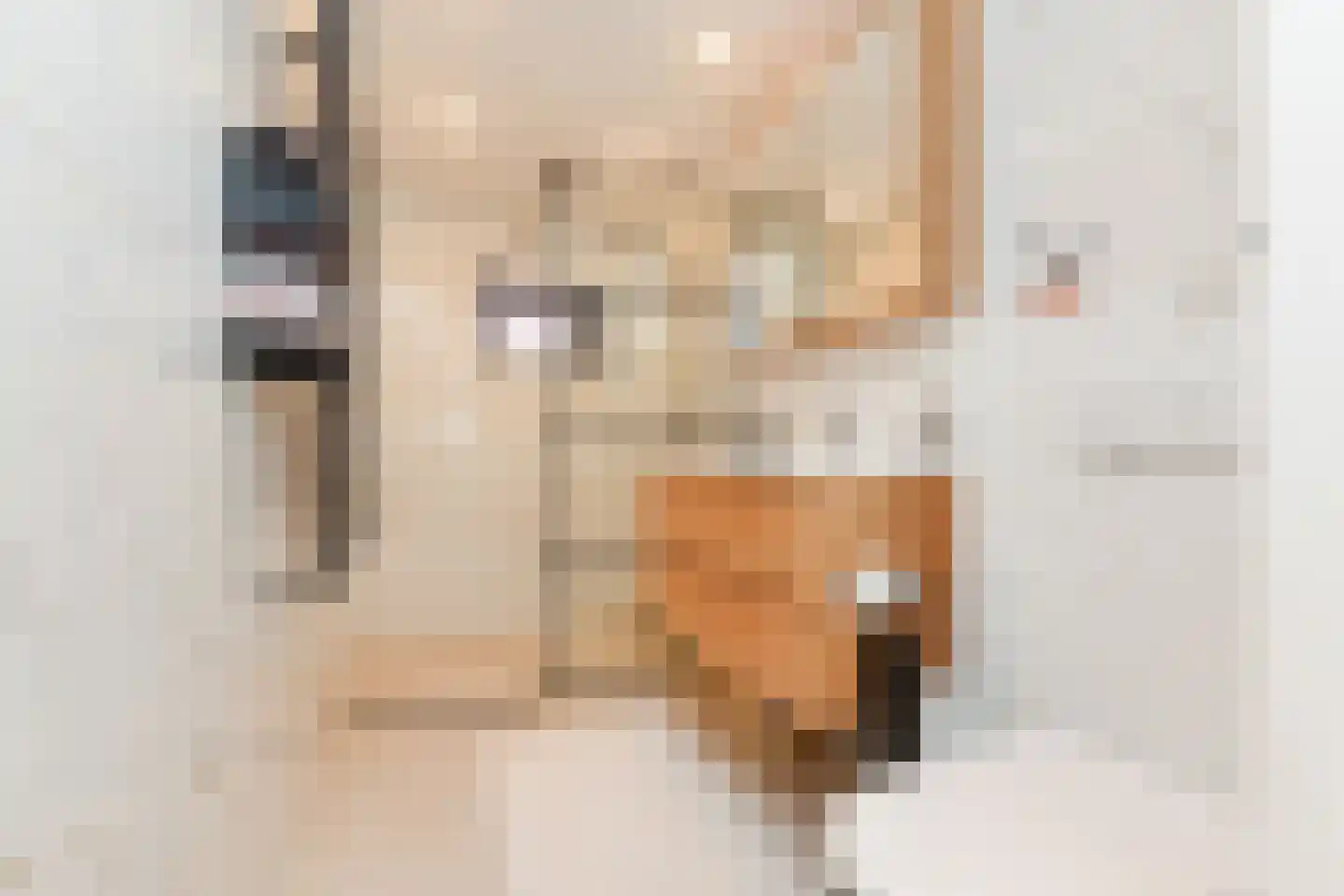 Schoutendreef 367 Den Haag thumbnail 26