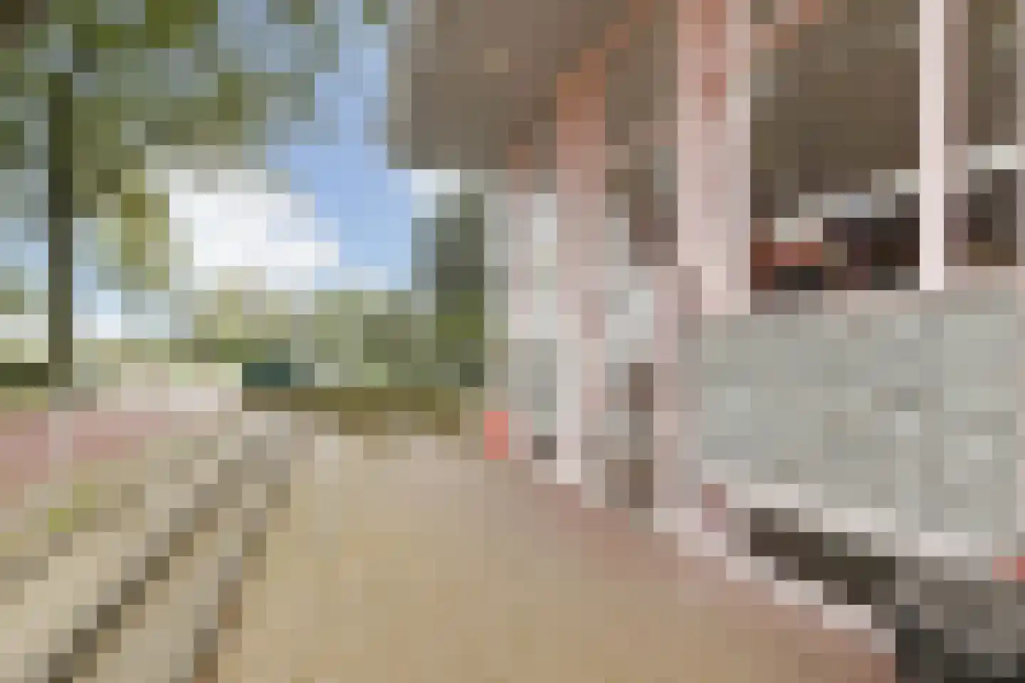 Schoutendreef 367 Den Haag thumbnail 4