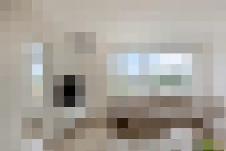 Schoutendreef 381 Den Haag thumbnail 20