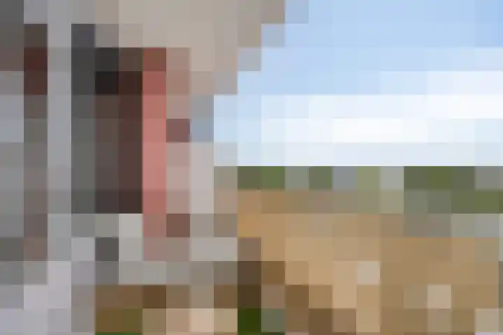 Schoutendreef 381 Den Haag thumbnail 23