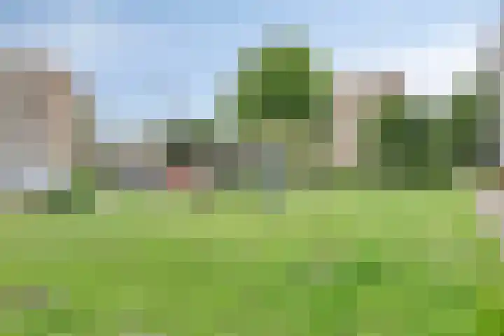 Schoutendreef 381 Den Haag thumbnail 38