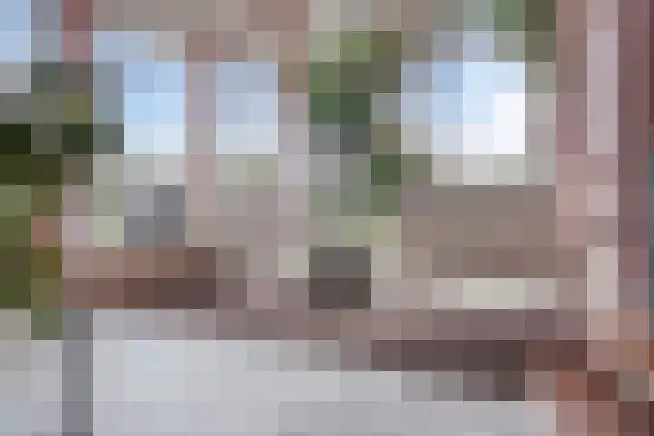 Schoutendreef 381 Den Haag thumbnail 8
