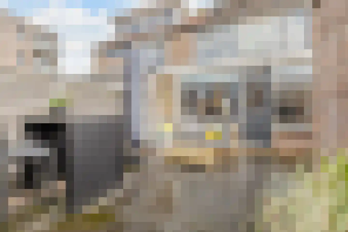 Schoutendreef 85 Bodegraven thumbnail 56