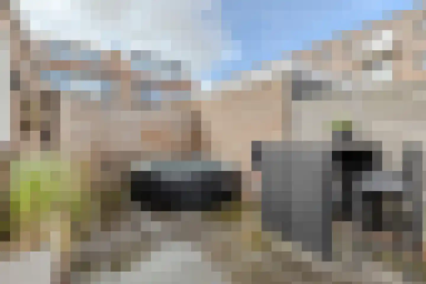 Schoutendreef 85 Bodegraven thumbnail 57