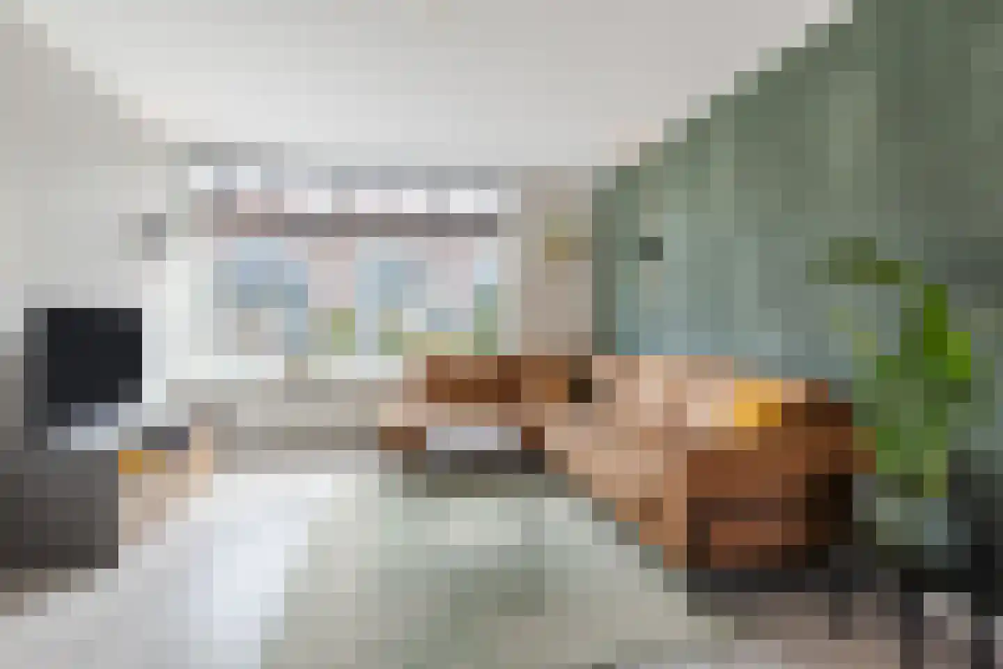 Schoutendreef 87 Bodegraven thumbnail 12