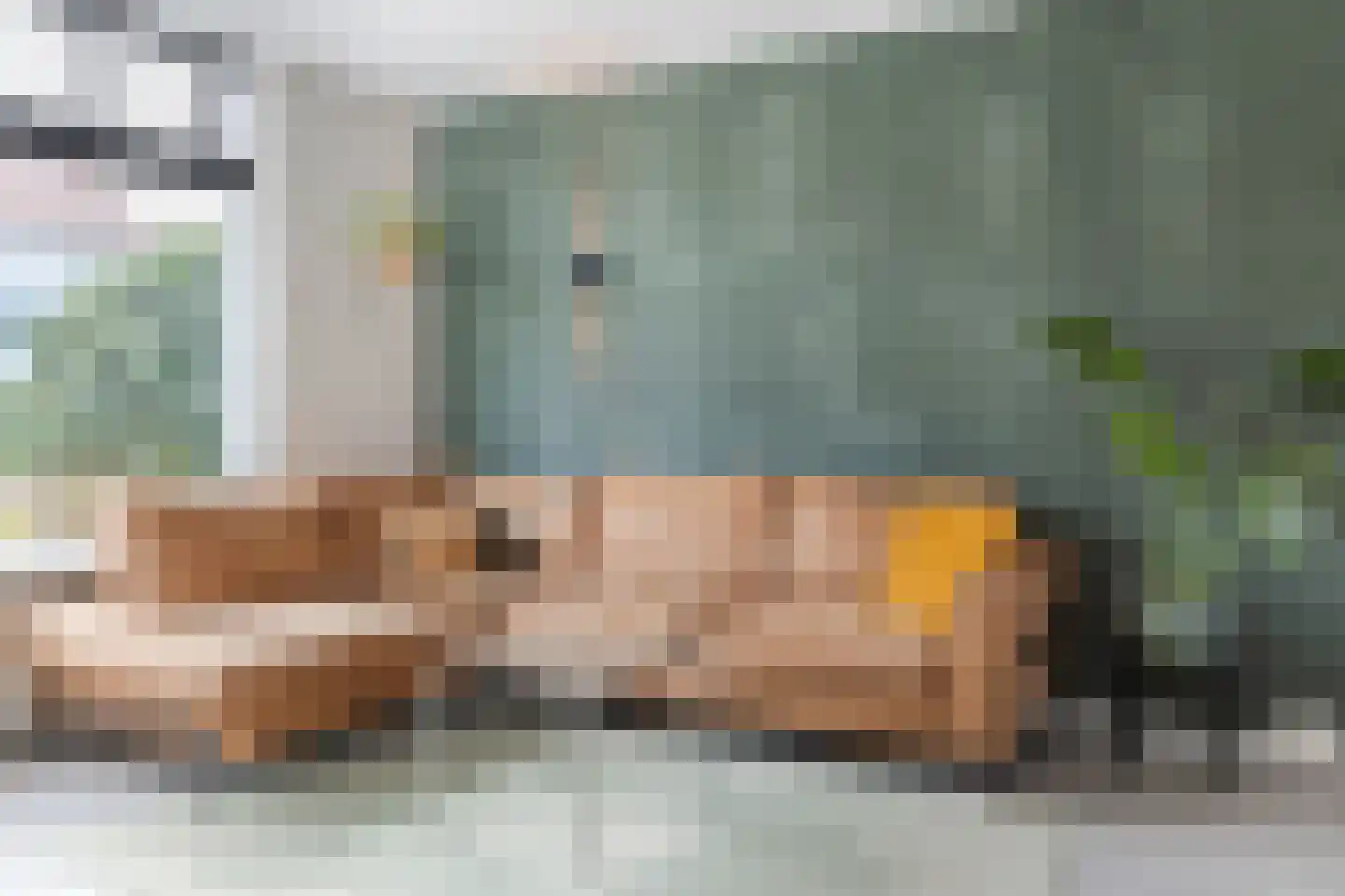 Schoutendreef 87 Bodegraven thumbnail 13