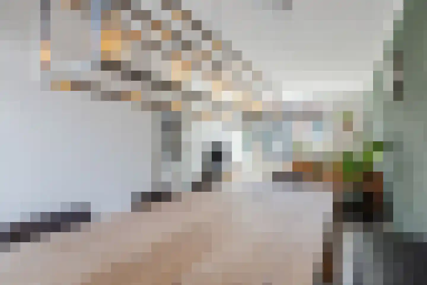 Schoutendreef 87 Bodegraven thumbnail 19