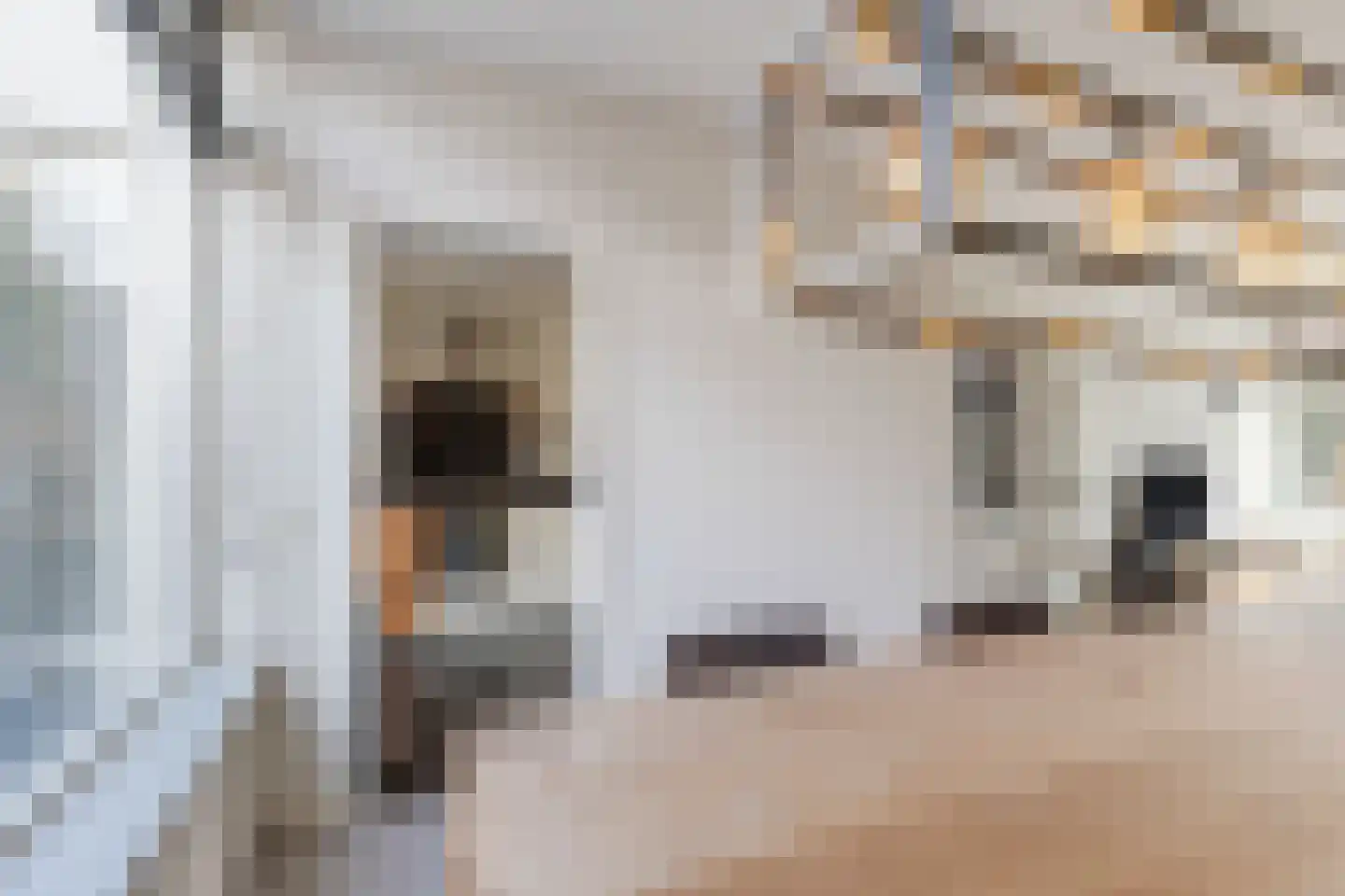 Schoutendreef 87 Bodegraven thumbnail 23