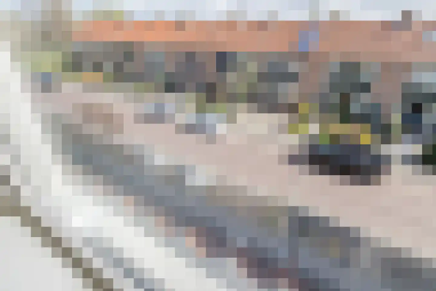 Schoutendreef 87 Bodegraven thumbnail 39