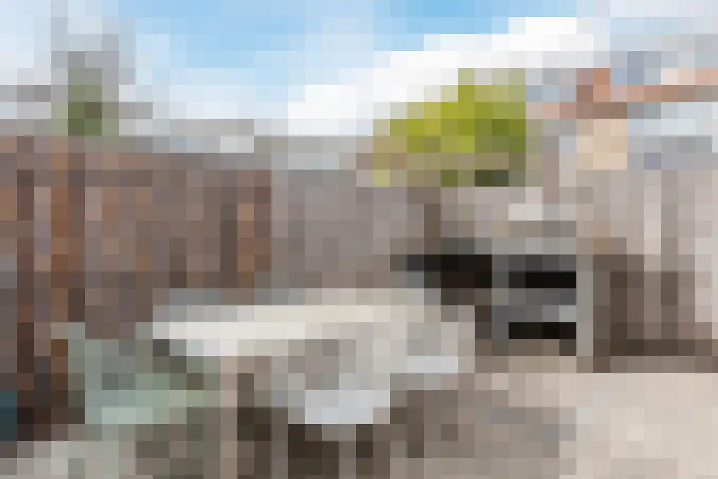 Schoutendreef 87 Bodegraven thumbnail 63