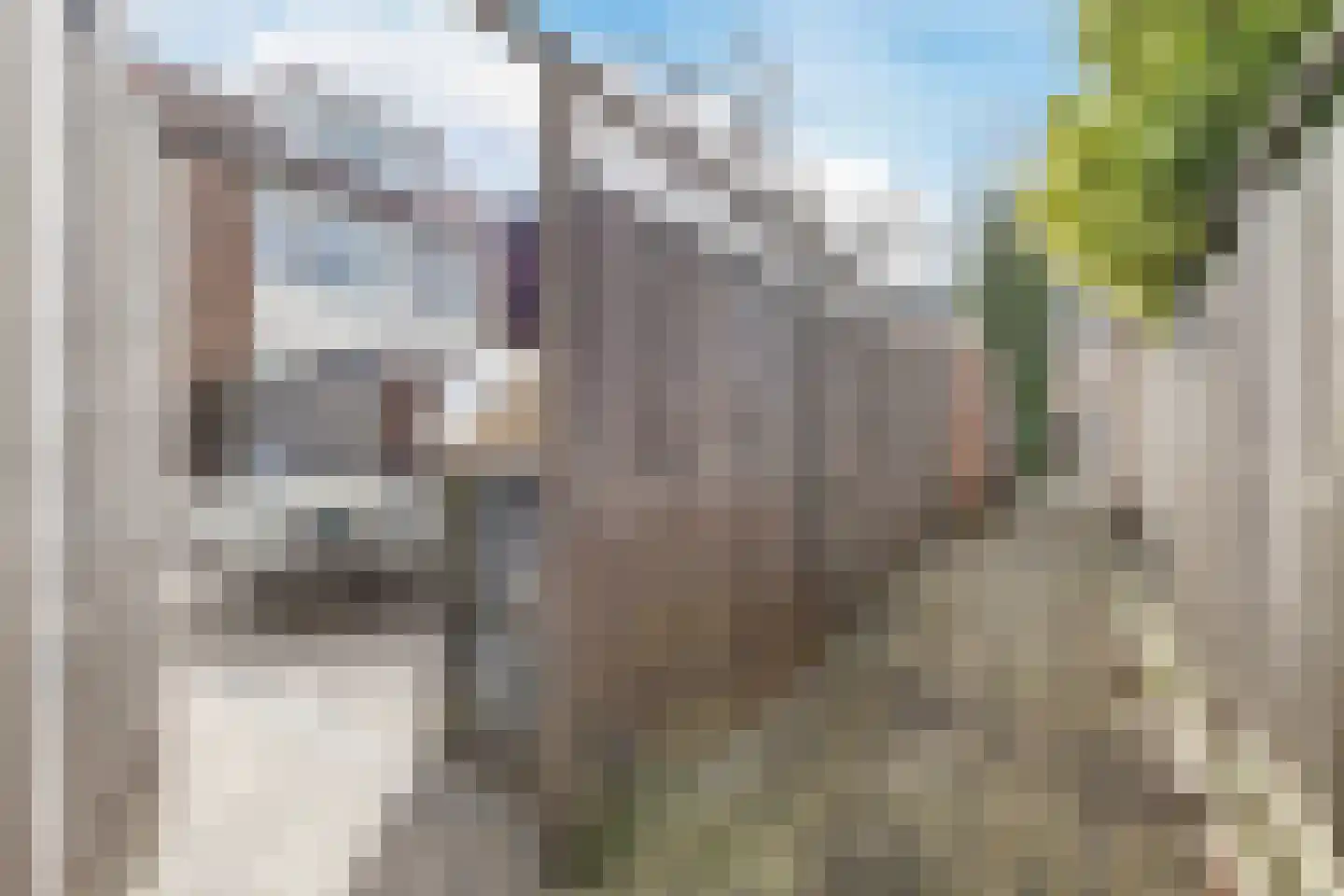 Schoutendreef 87 Bodegraven thumbnail 64