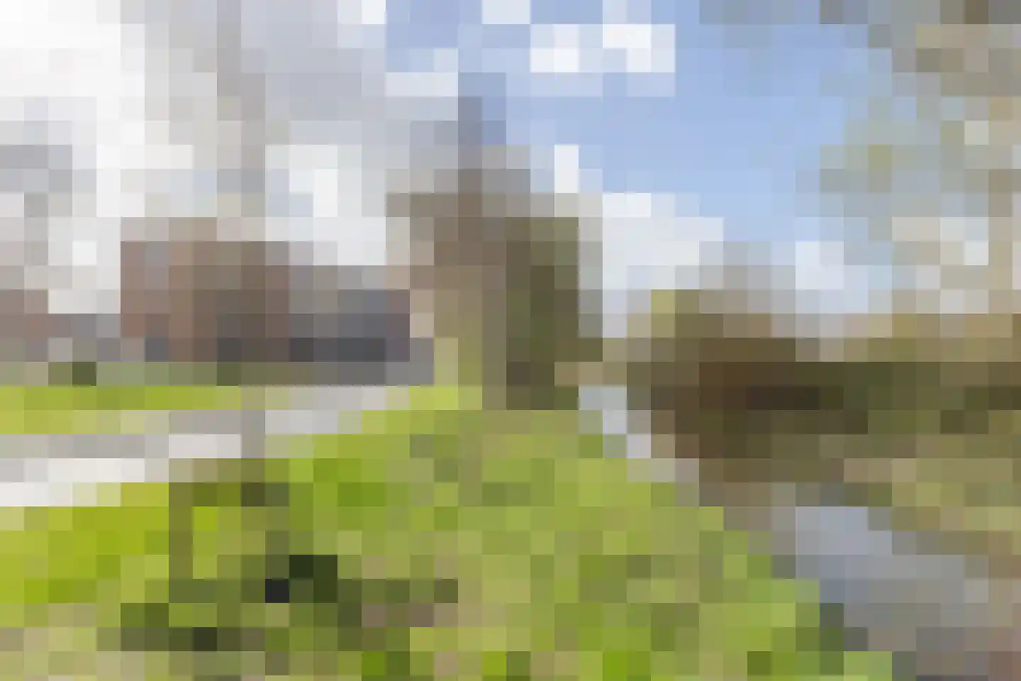 Schoutendreef 87 Bodegraven thumbnail 69