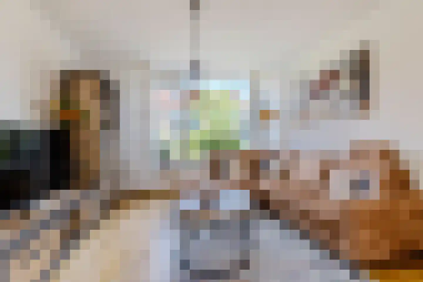 Schoutendreef 89 Bodegraven thumbnail 13