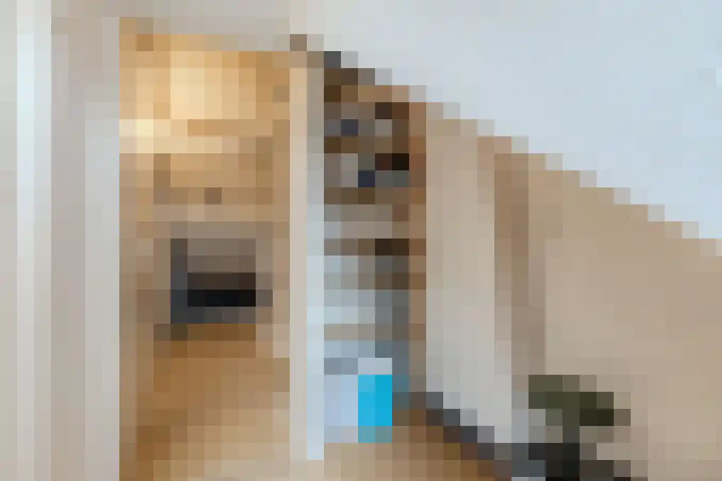 Schoutendreef 89 Bodegraven thumbnail 40