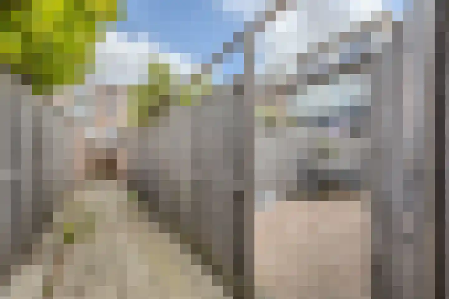 Schoutendreef 89 Bodegraven thumbnail 44