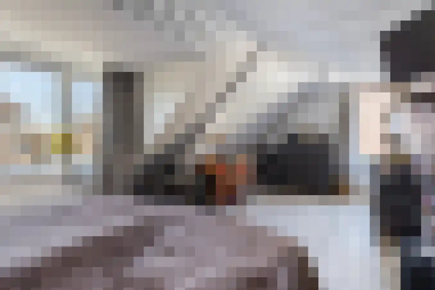 Schouteneinde 12 Puttershoek thumbnail 39