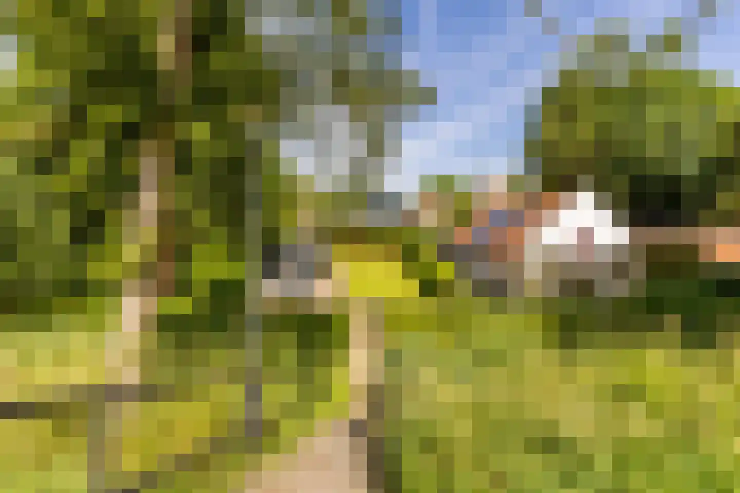 Schouteneinde 26 Puttershoek thumbnail 29
