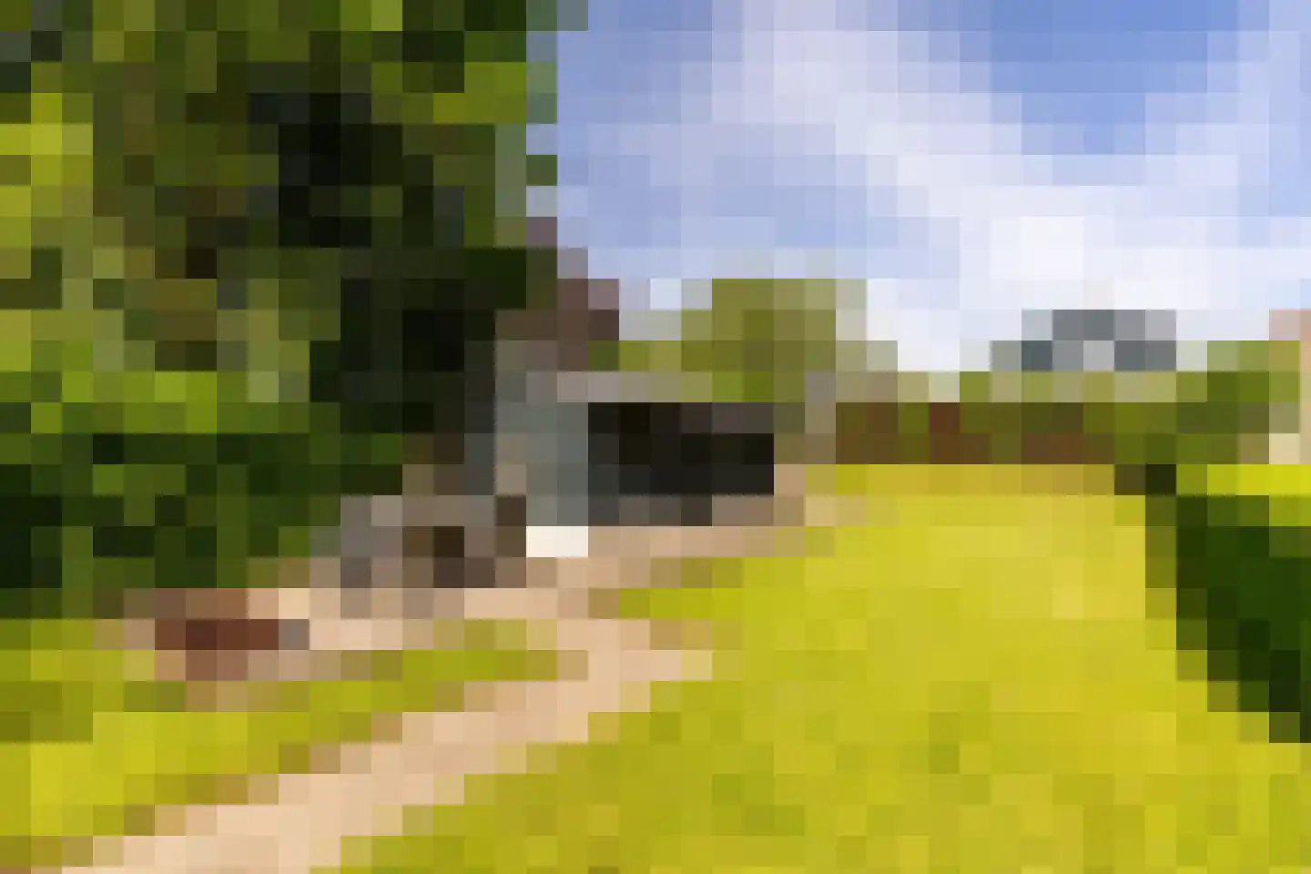 Schouteneinde 26 Puttershoek thumbnail 31