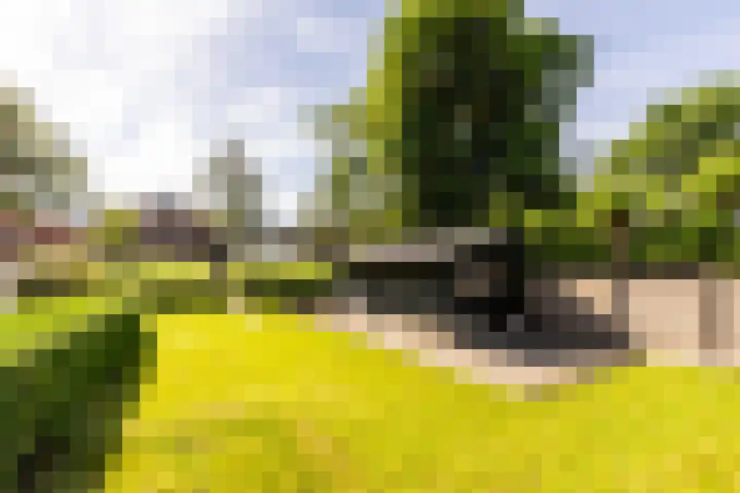 Schouteneinde 26 Puttershoek thumbnail 32