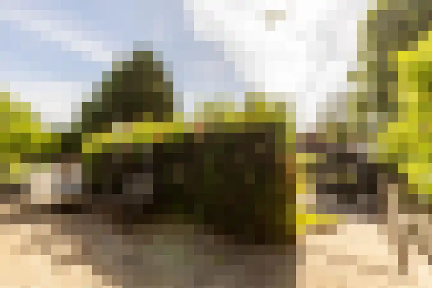 Schouteneinde 26 Puttershoek thumbnail 33