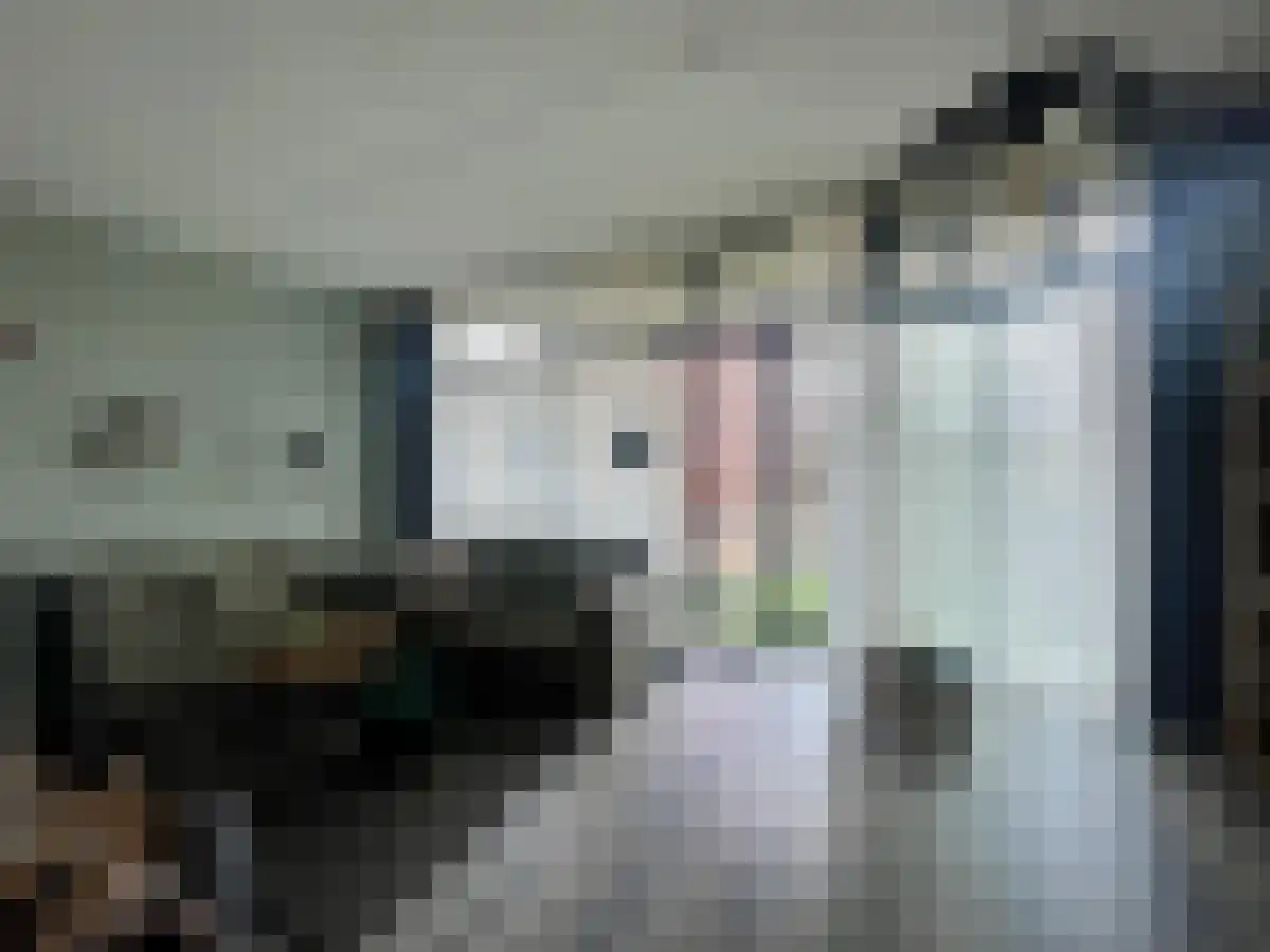 Schoutenhoek 46 Zoetermeer thumbnail 4