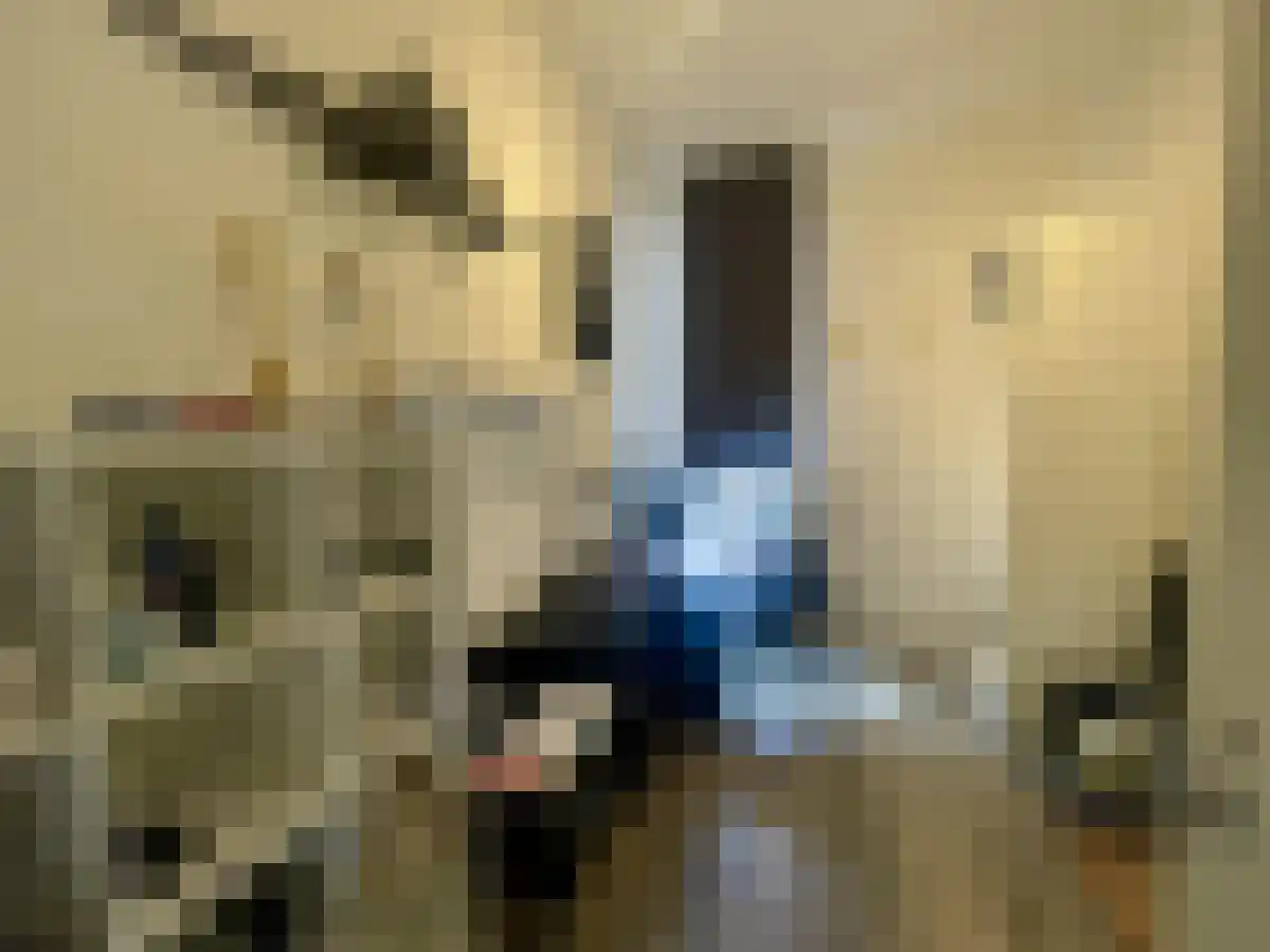 Schoutenhoek 46 Zoetermeer thumbnail 5